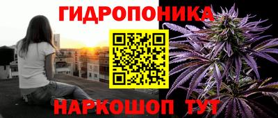 крисы Пугачёв