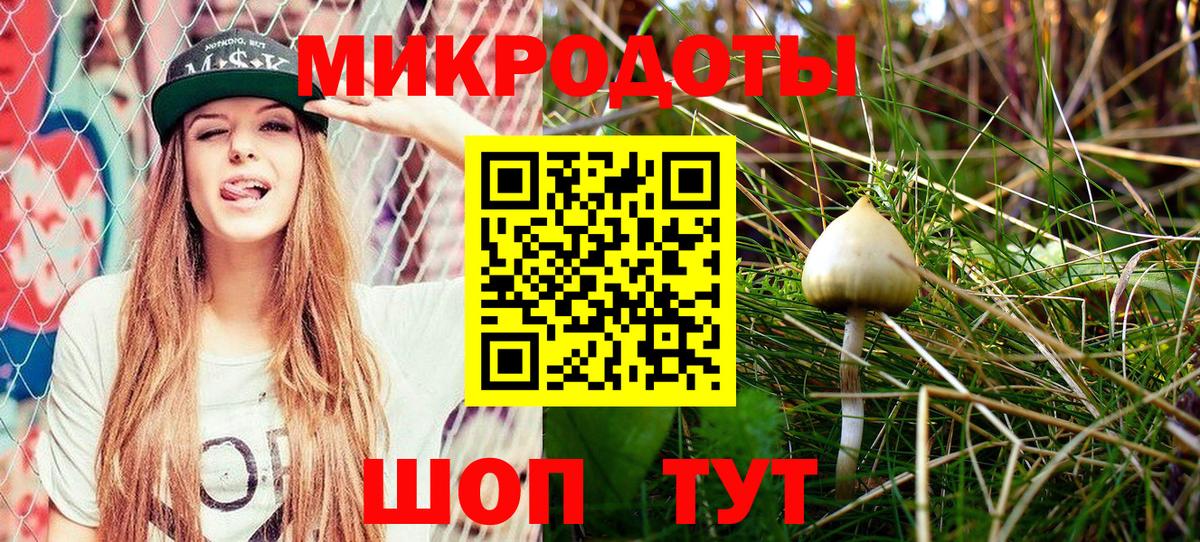 Галлюциногенные грибы прущие грибы  Вход с VPN  закладка  Сегежа 